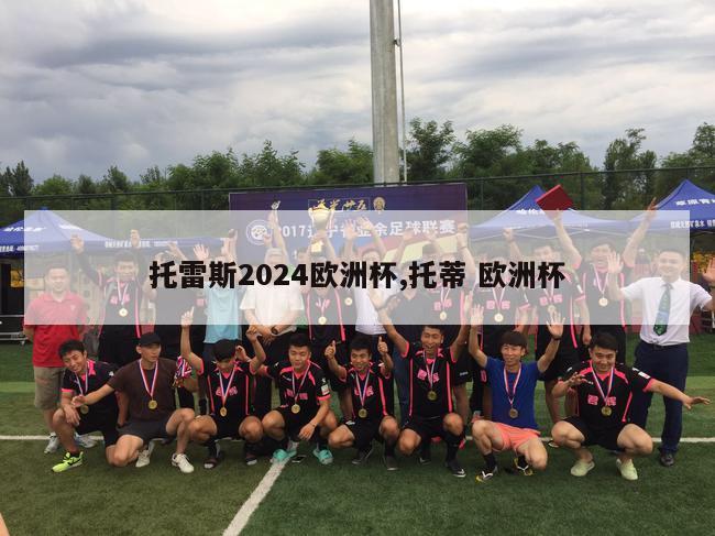 托雷斯2024欧洲杯,托蒂 欧洲杯