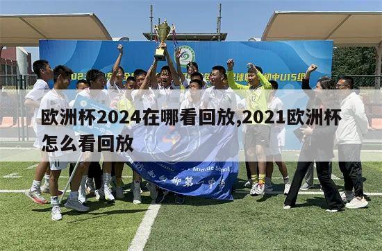 欧洲杯2024在哪看回放,2021欧洲杯怎么看回放