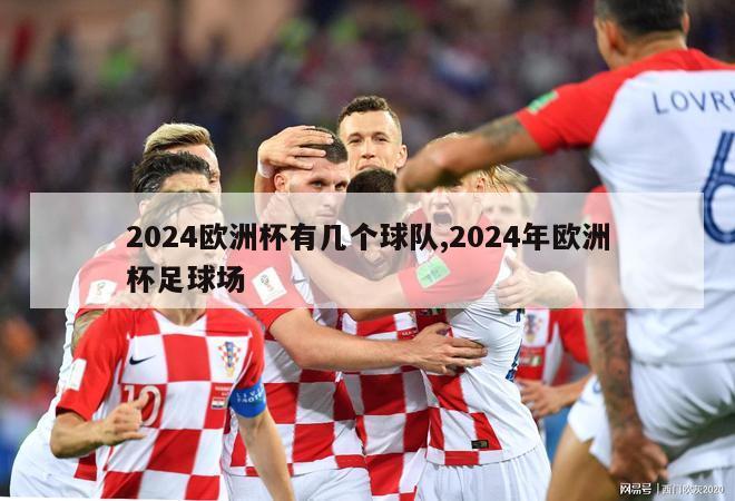 2024欧洲杯有几个球队,2024年欧洲杯足球场