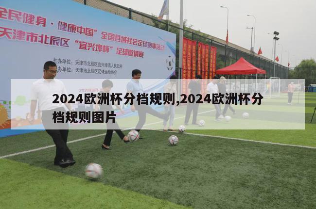 2024欧洲杯分档规则,2024欧洲杯分档规则图片