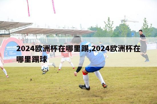 2024欧洲杯在哪里踢,2024欧洲杯在哪里踢球