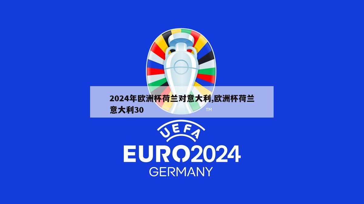 2024年欧洲杯荷兰对意大利,欧洲杯荷兰意大利30