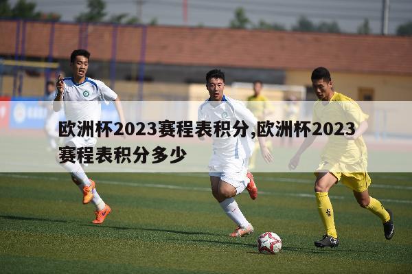 欧洲杯2023赛程表积分,欧洲杯2023赛程表积分多少