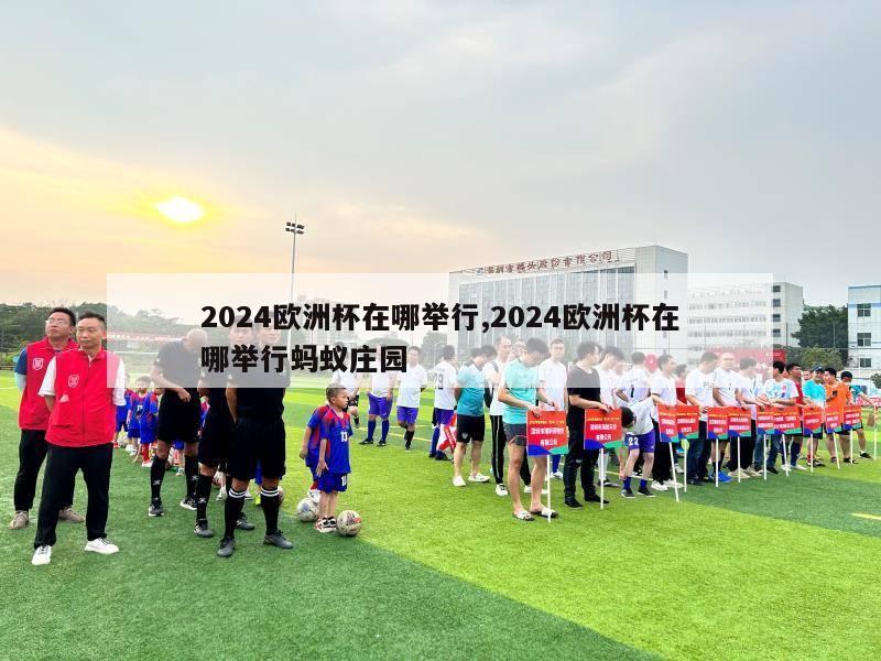 2024欧洲杯在哪举行,2024欧洲杯在哪举行蚂蚁庄园