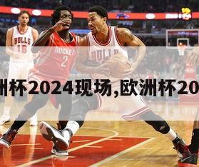 欧洲杯2024现场,欧洲杯202年