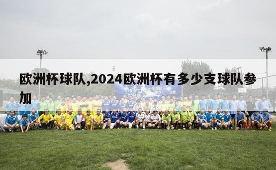 欧洲杯球队,2024欧洲杯有多少支球队参加