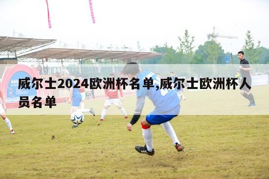 威尔士2024欧洲杯名单,威尔士欧洲杯人员名单