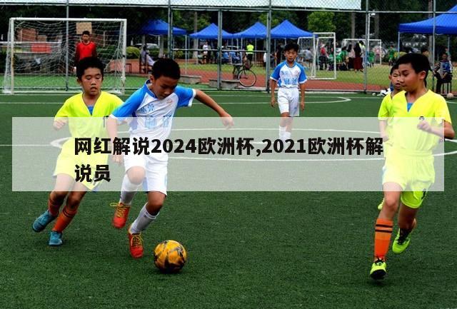 网红解说2024欧洲杯,2021欧洲杯解说员